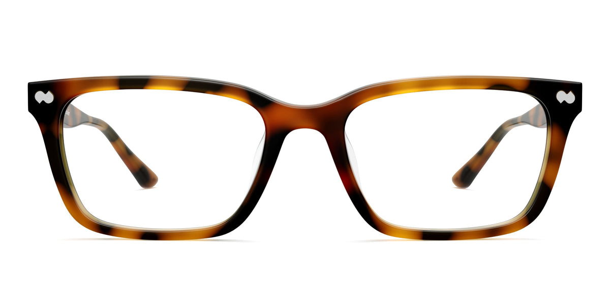 Magnetic glasses—switch between multiple styles.