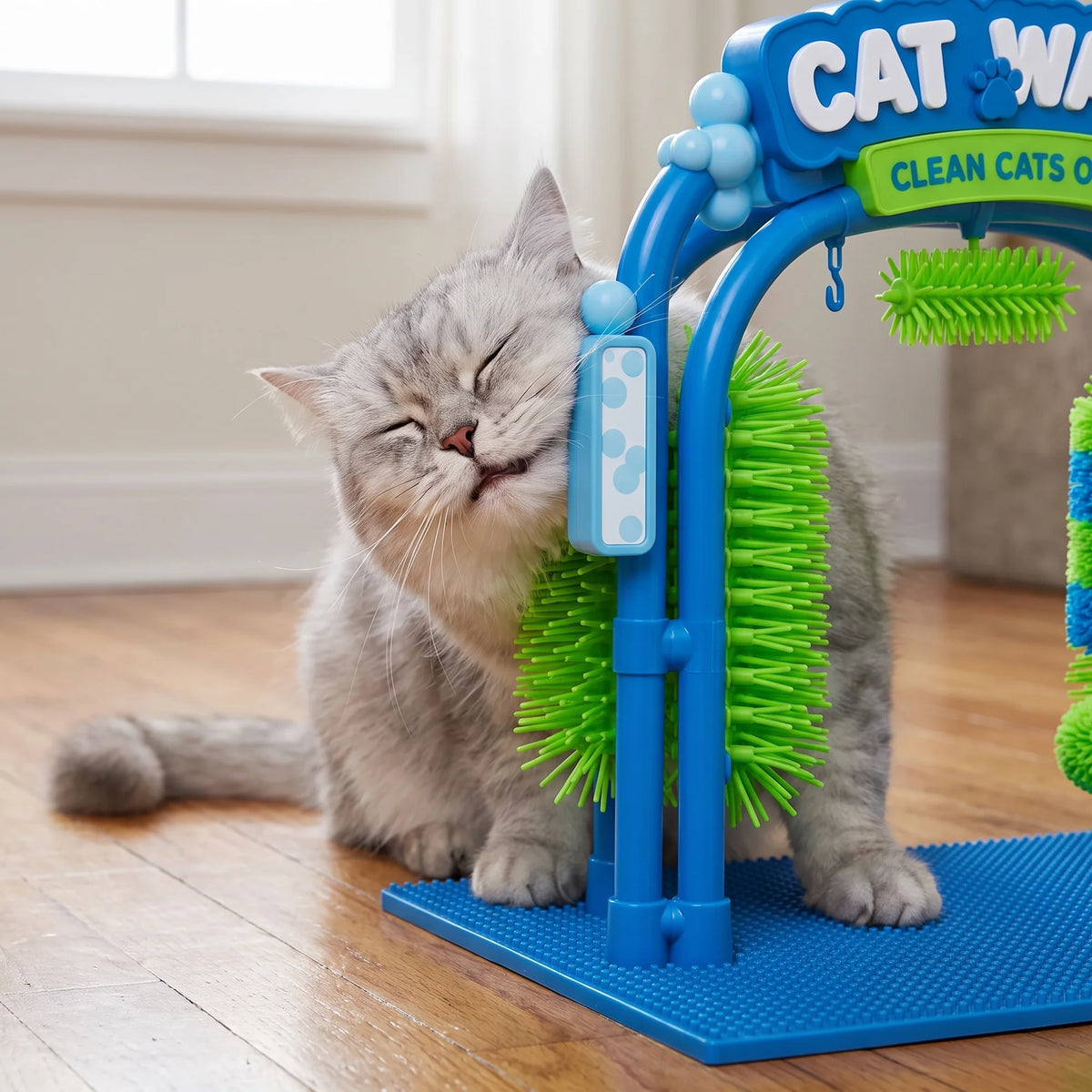 The Cat Wash
