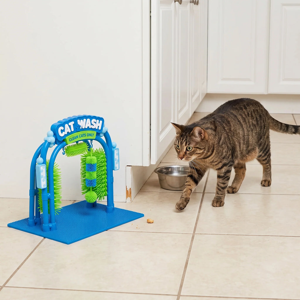 The Cat Wash