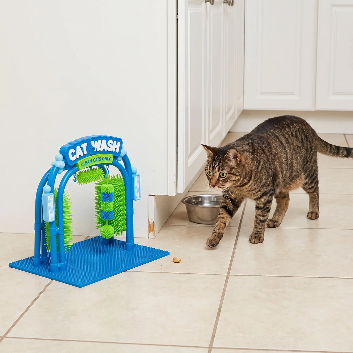 The Cat Wash
