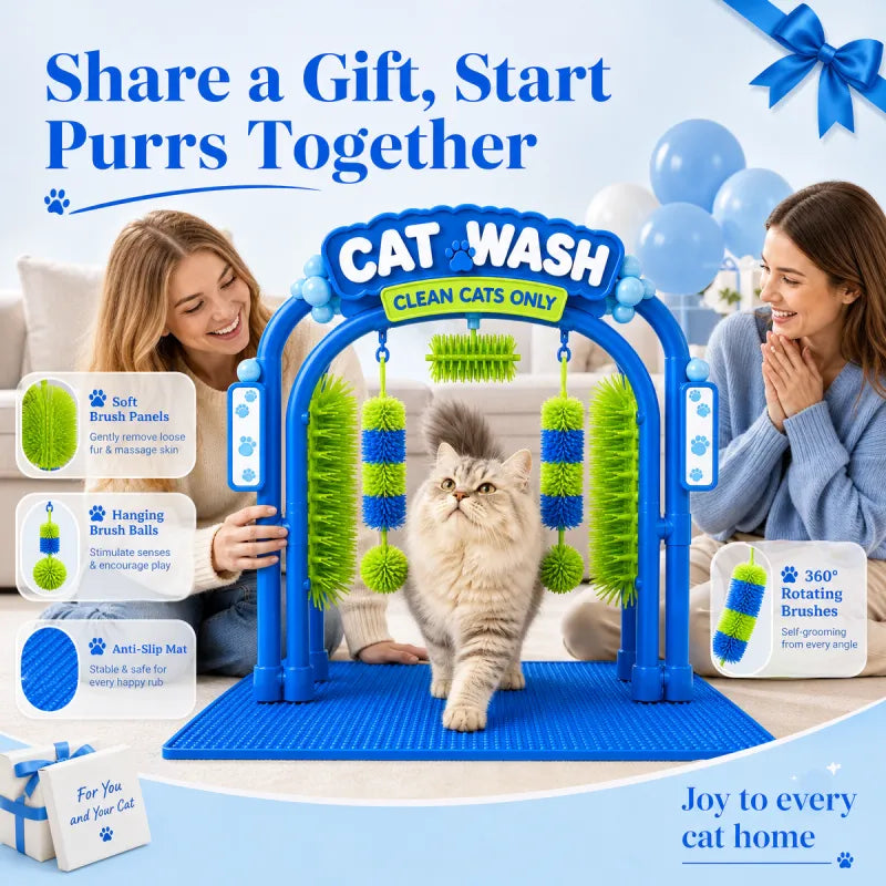 The Cat Wash